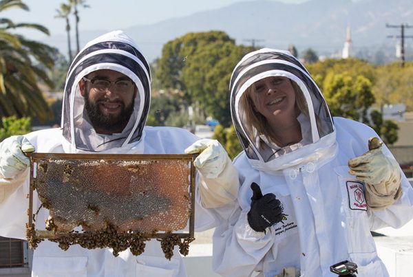 Male and Female in white protective beekeeping suits holding full comb giving thumbs up