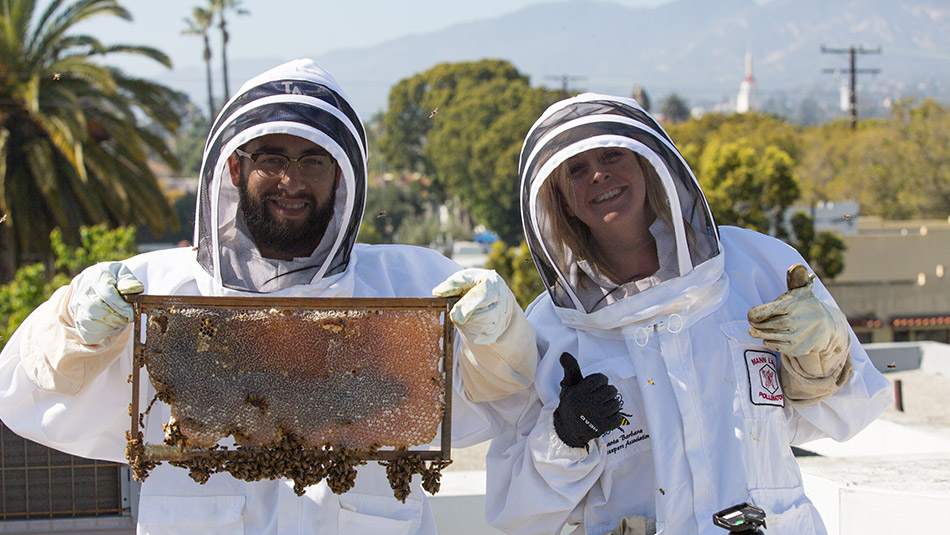 Male and Female in white protective beekeeping suits holding full comb giving thumbs up