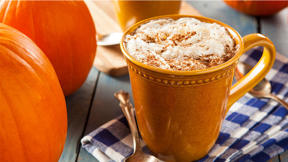 Food Marketing Pumpkin Spice Latte EvansHardy+Young