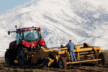 Idaho Farmer Harvesting Potatoes