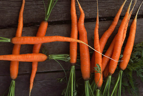 fresh carrots hashtag