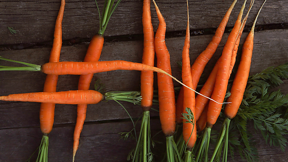 fresh carrots hashtag