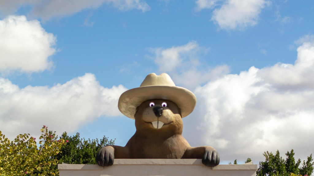 Why Brand Mascots Matter for Recognition & Loyalty